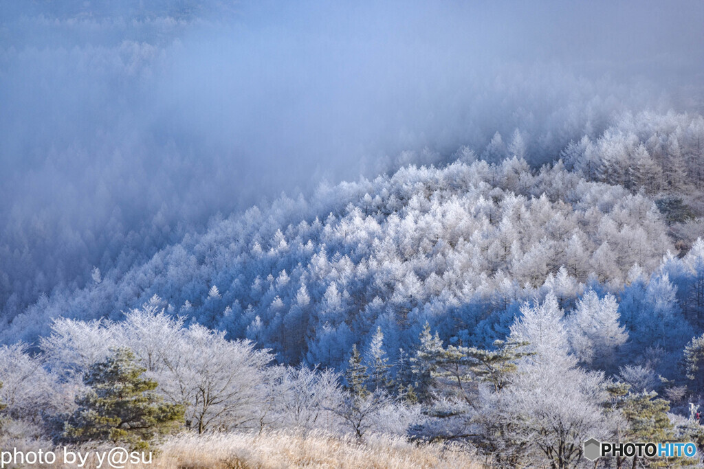 高ボッチ　霧氷の朝景⑦