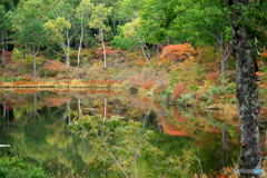 志賀高原の紅葉②