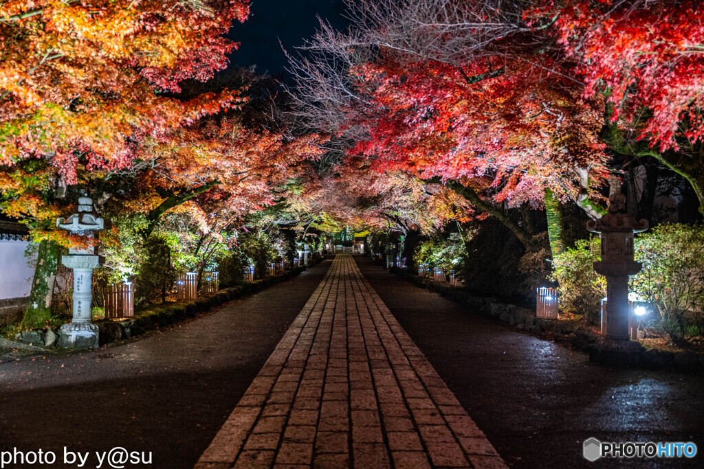 滋賀県　石山寺　紅葉ライトアップ①