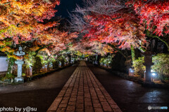 滋賀県　石山寺　紅葉ライトアップ①