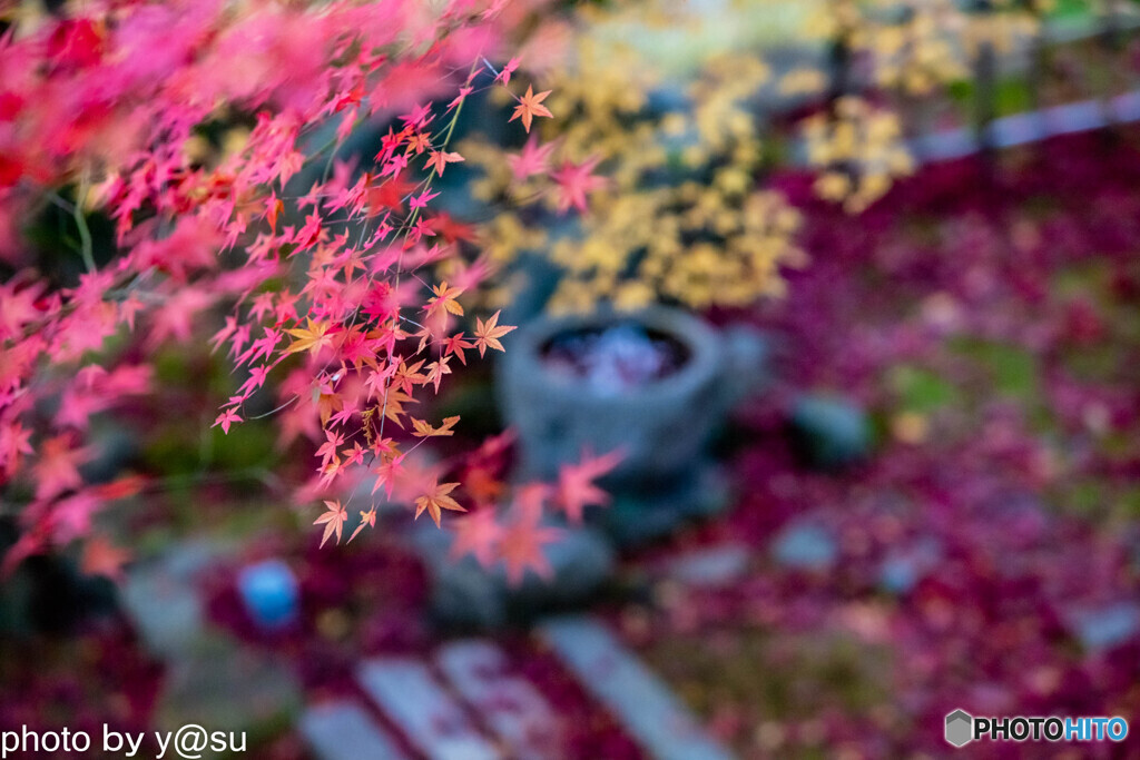 錦秋の寺院①