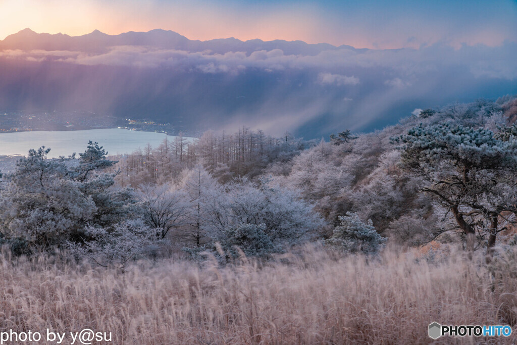 高ボッチ　霧氷の朝景③
