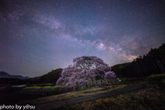 エドヒガン桜と夏の天の川