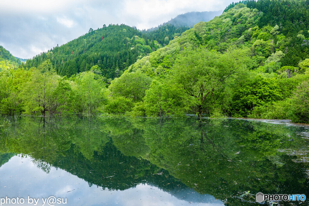水没林①