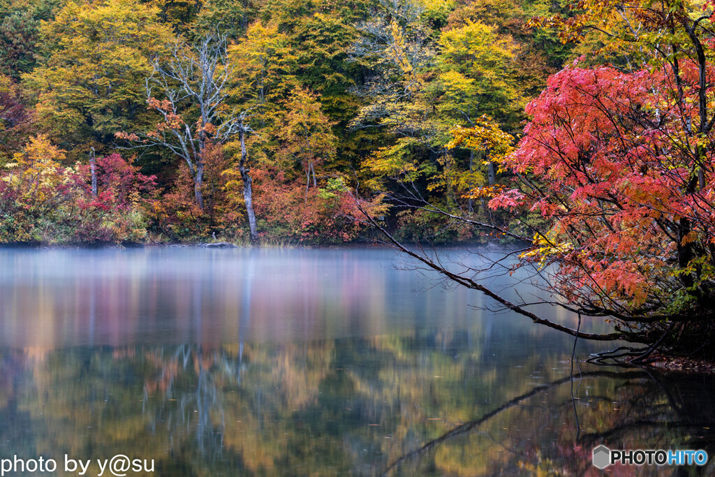 鎌池の紅葉Ⅰ