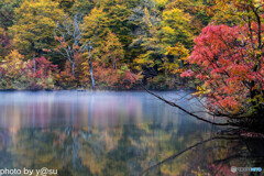 鎌池の紅葉Ⅰ