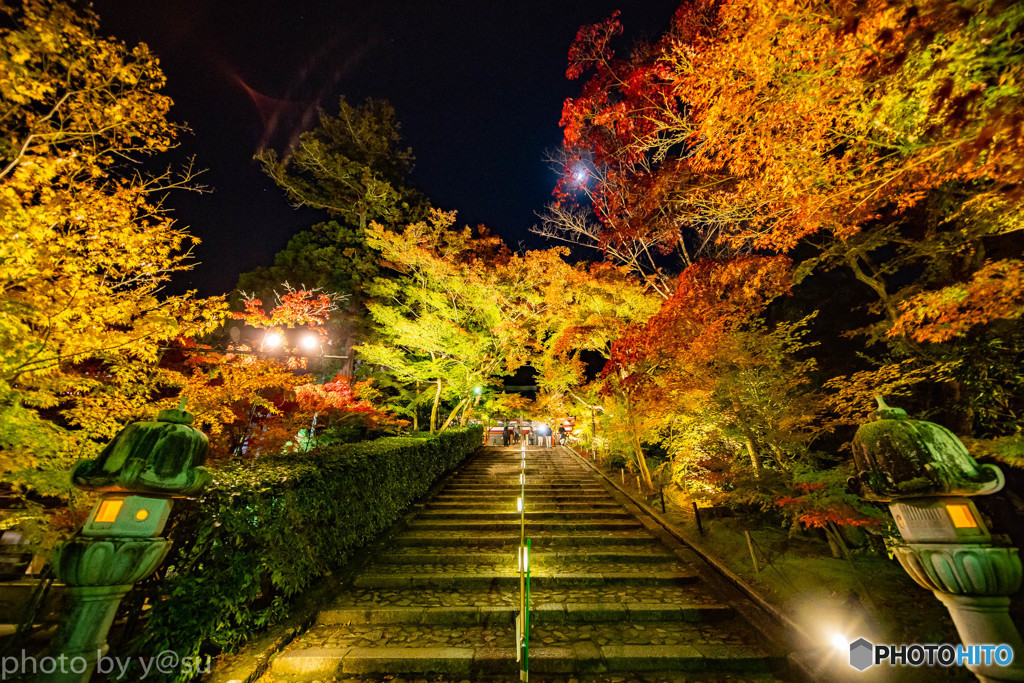 永観堂紅葉ライトアップ