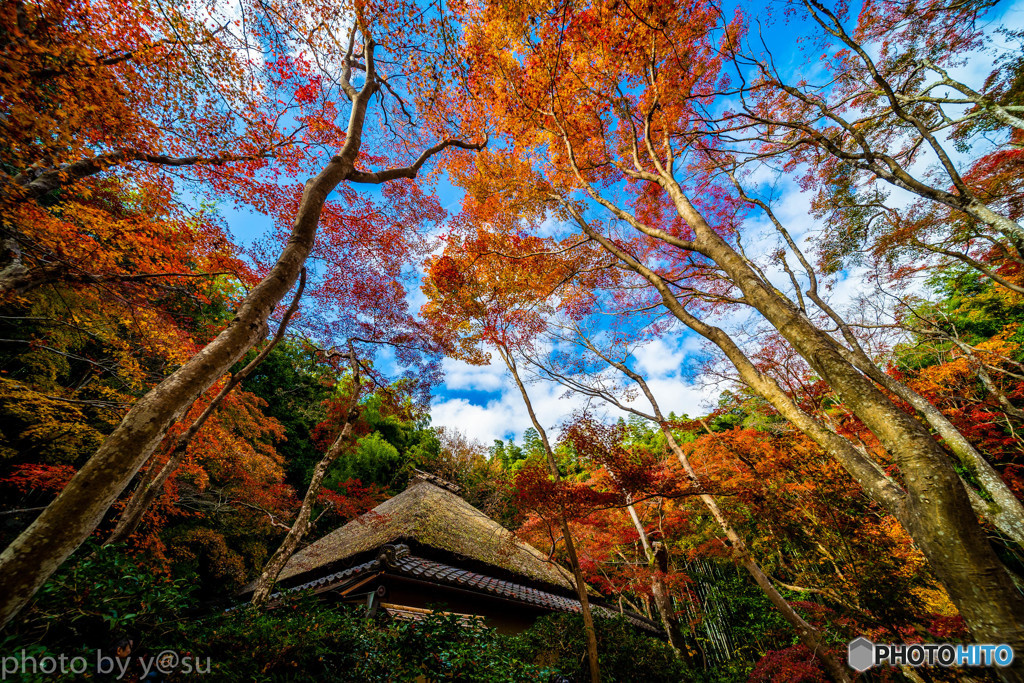 祇王寺の紅葉と青空