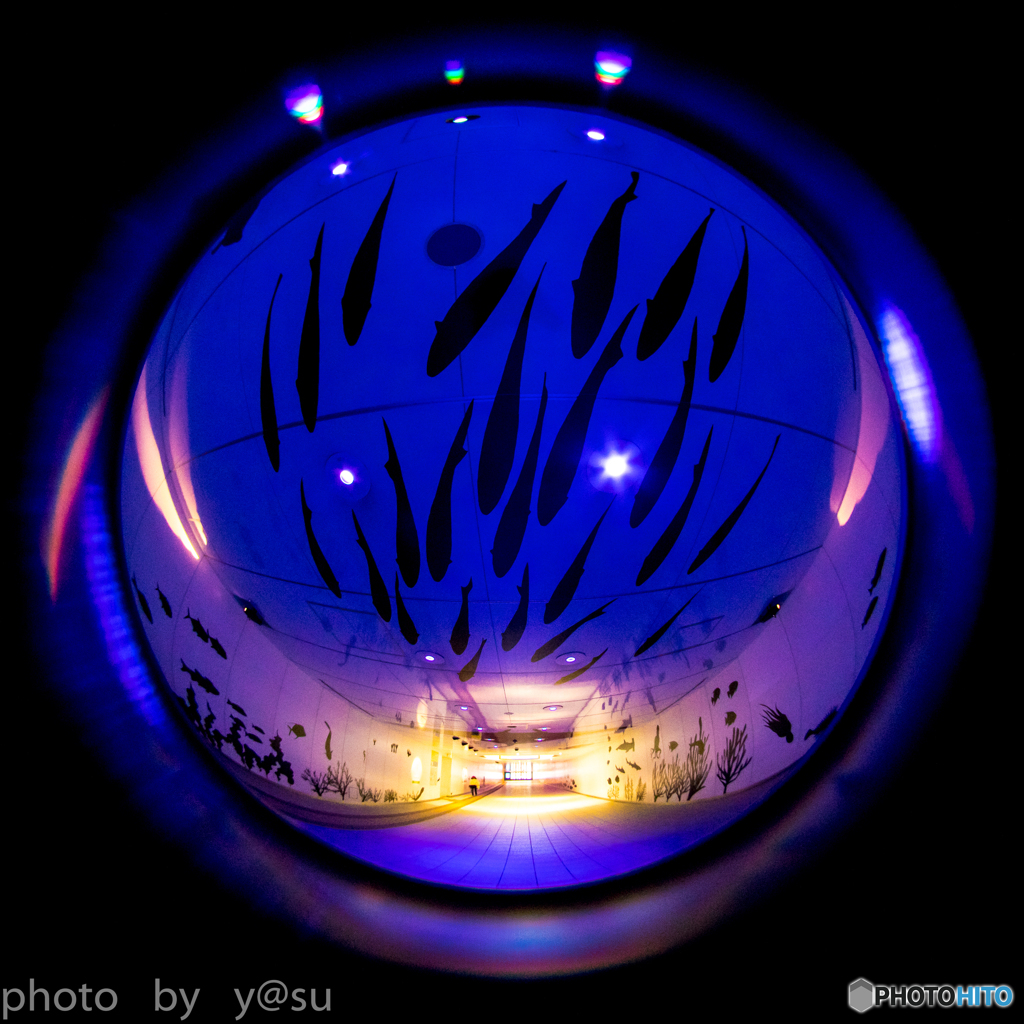 地下道の水族館