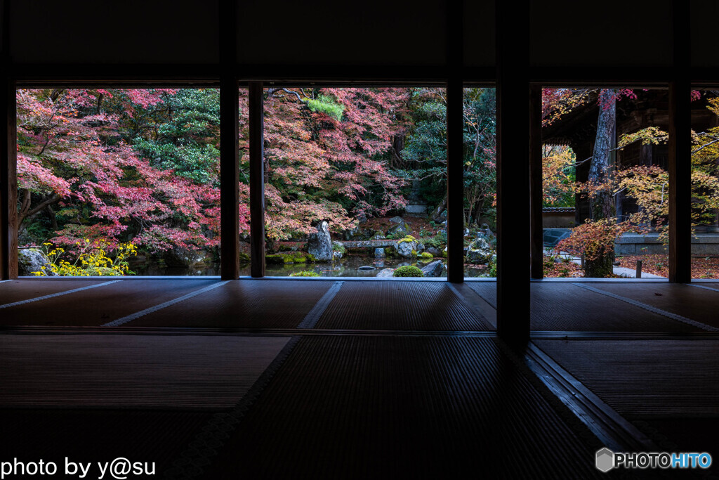 蓮華寺の紅葉②