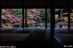 蓮華寺の紅葉②