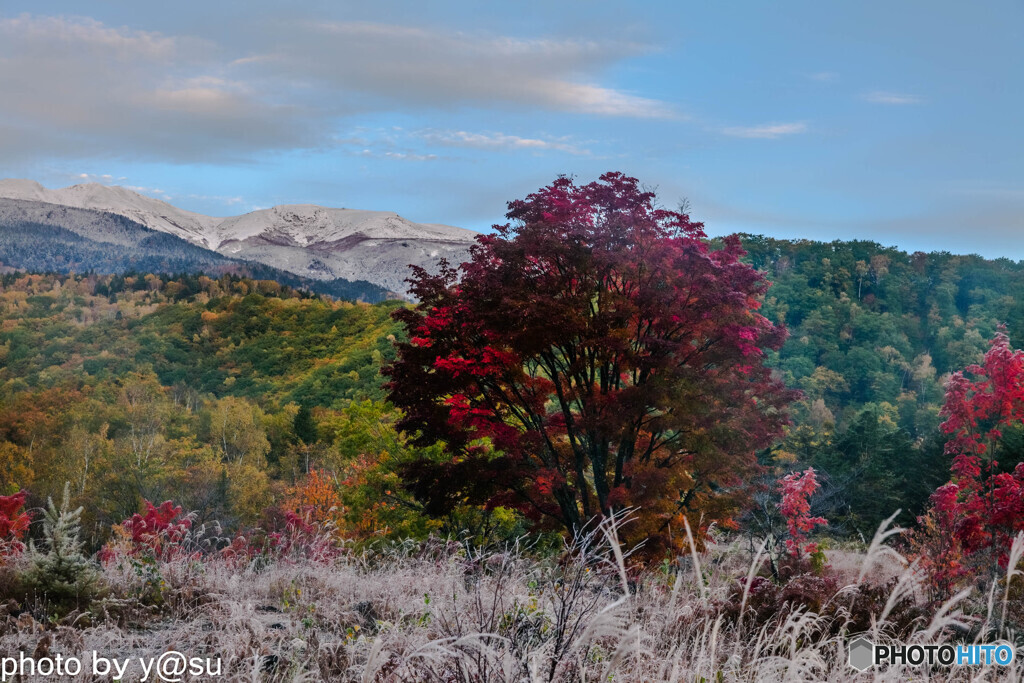 冠雪の乗鞍と乗鞍高原の紅葉⑥