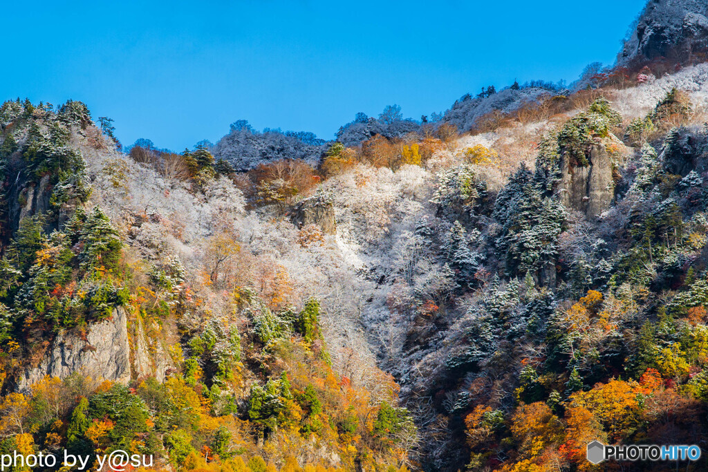 初冠雪の戸隠と紅葉④