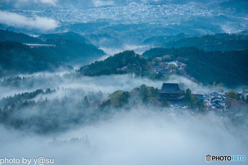 吉野山の雲海と千本桜②
