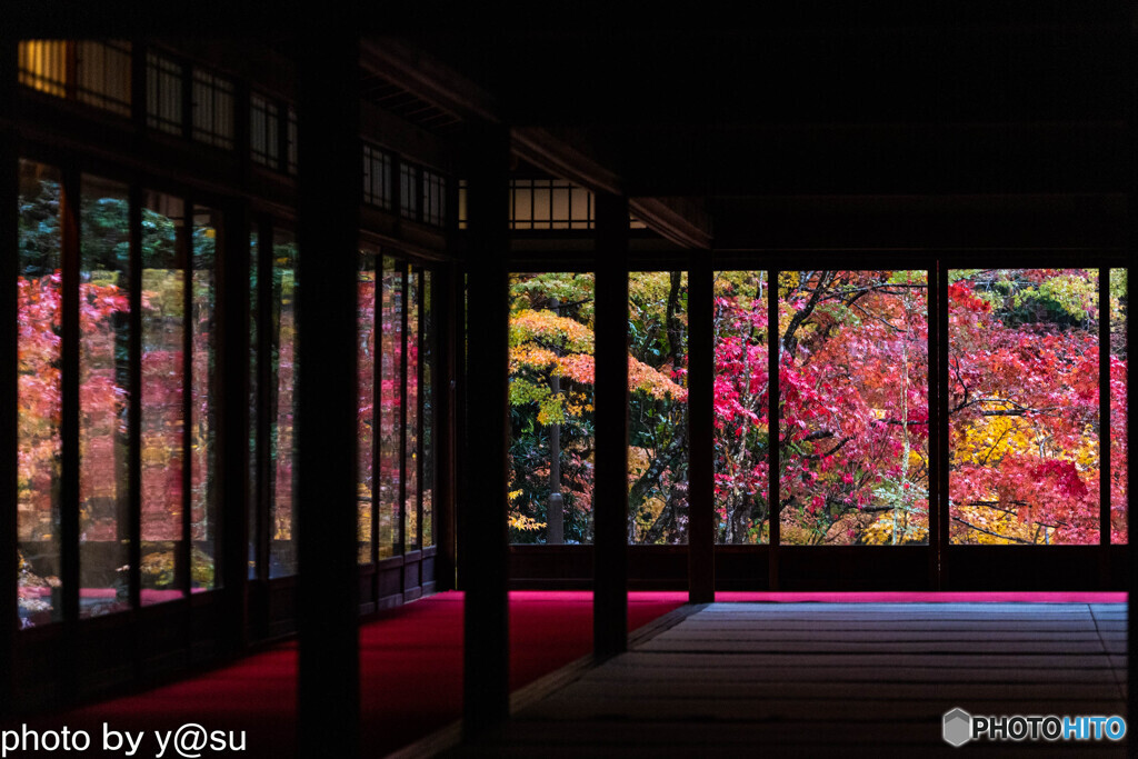 錦秋の天授庵③