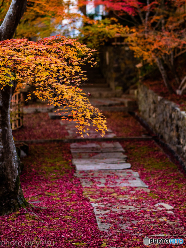 秋色の参道