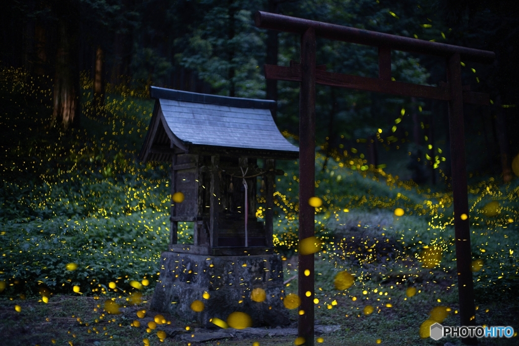 姫の舞①