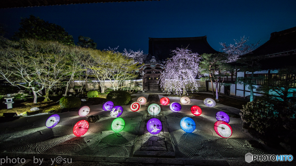 春の妙顕寺ライトアップ