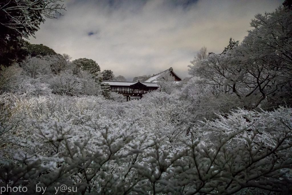 雪化粧の通天橋