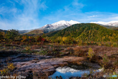 冠雪の乗鞍と乗鞍高原の紅葉⑤