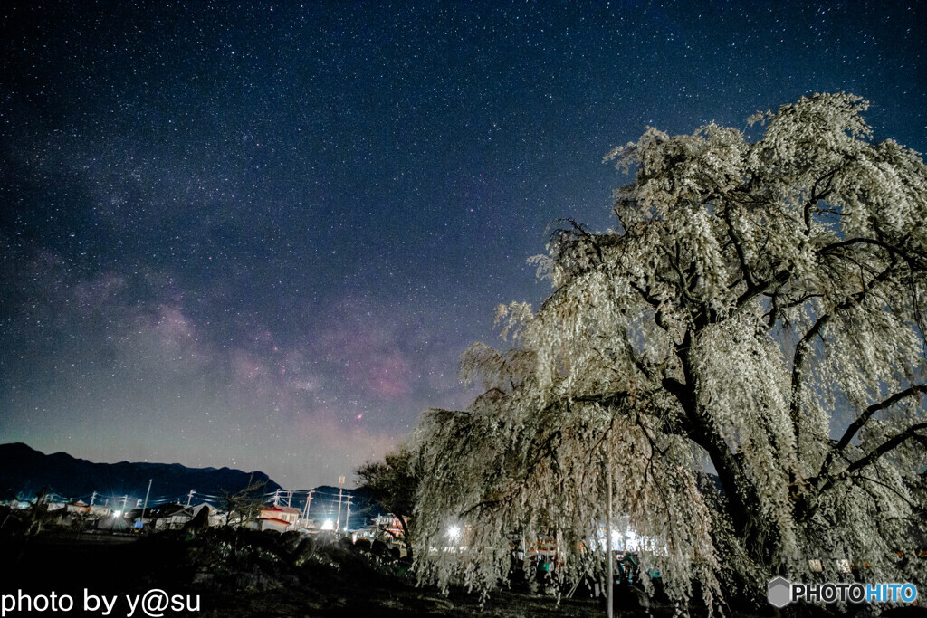 和美の桜と夏の天の川