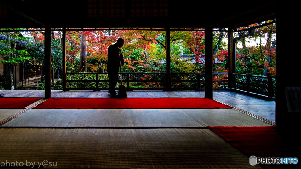 大法院の紅葉