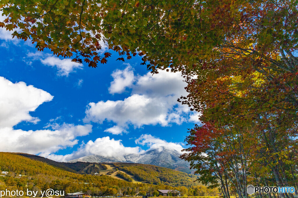 冠雪の蓼科山と紅葉