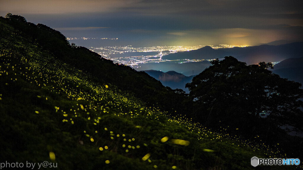 夜景の煌めきとヒメボタル