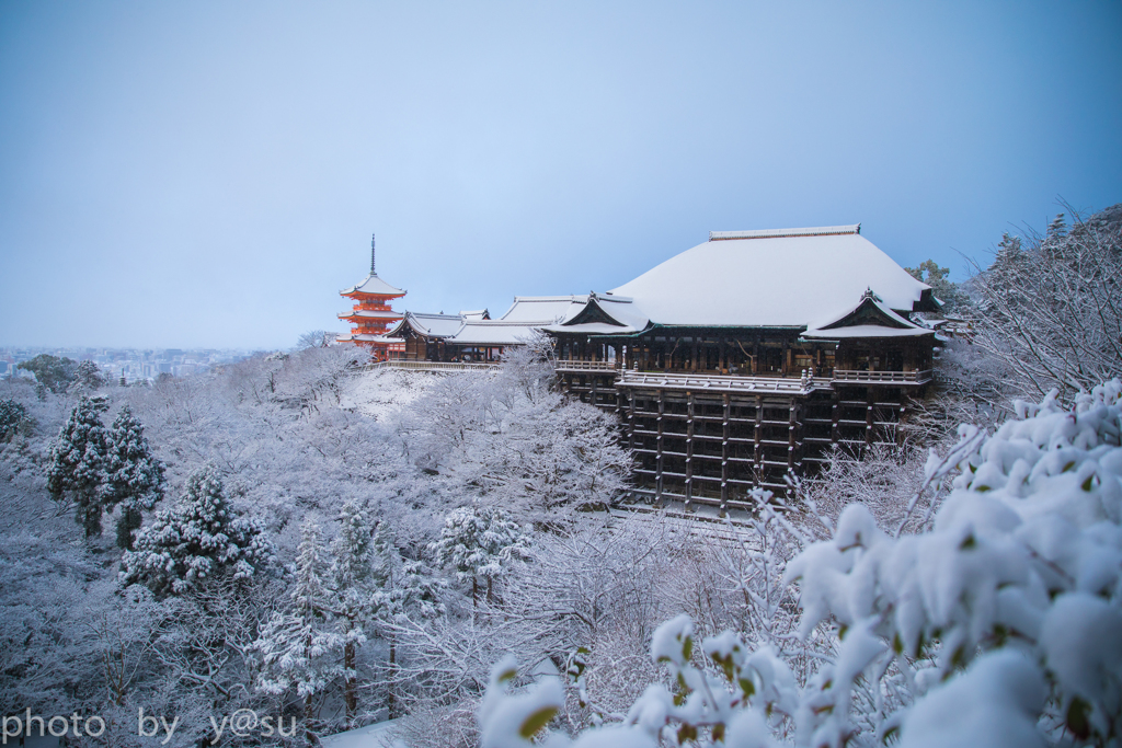 雪化粧の清水寺