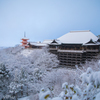 雪化粧の清水寺