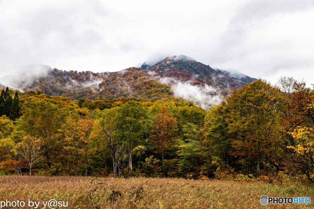 鎌池の紅葉Ⅴ