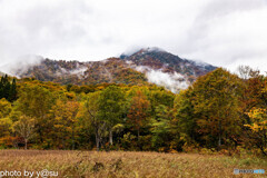 鎌池の紅葉Ⅴ