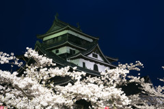 夜の松江城