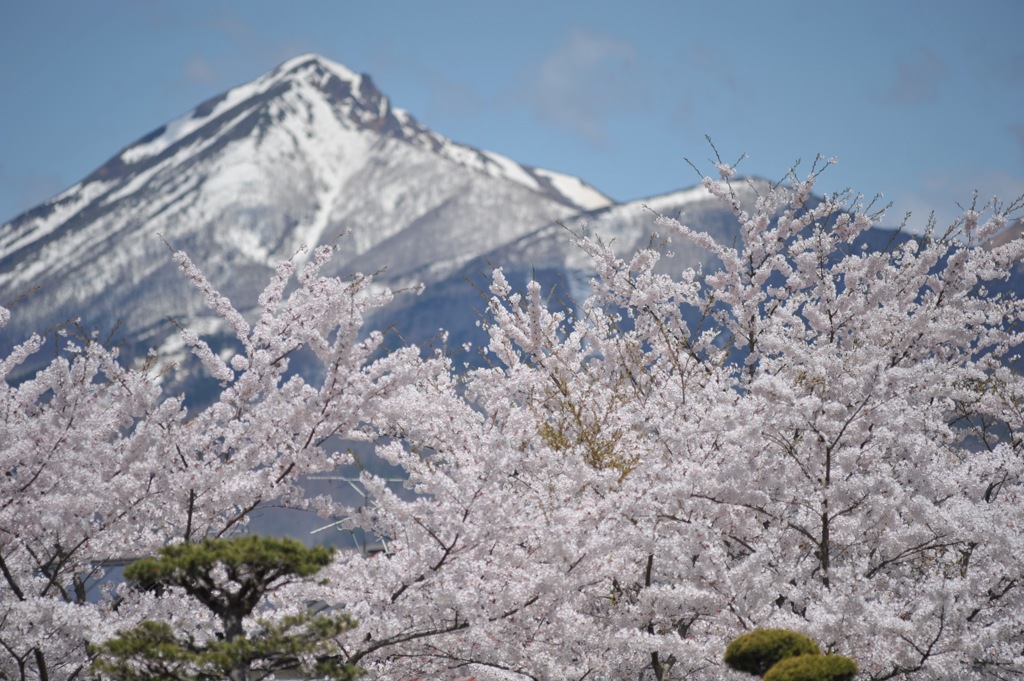 磐梯山は未だ早春
