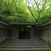 新緑の瑠璃光院２