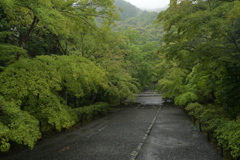 青もみじの馬場
