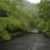 青もみじの馬場