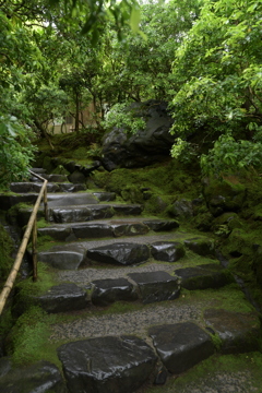 新緑の瑠璃光院４