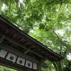 碧く染まる