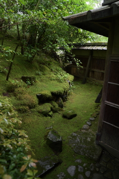 新緑の瑠璃光院３
