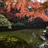 庭園の秋3
