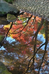 水鏡　大田黒公園の秋2