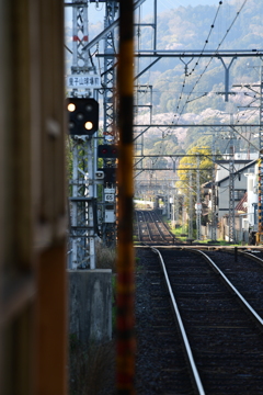 遠望