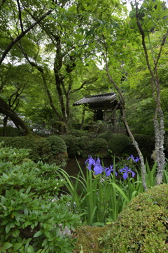 緑に沈む