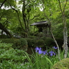 緑に沈む