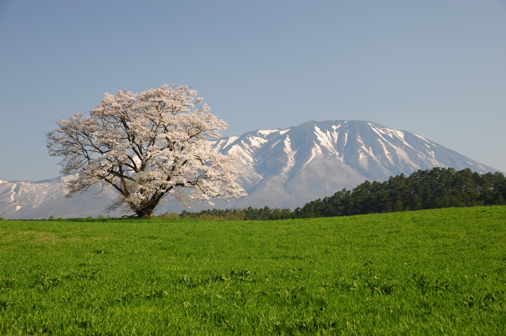 定番ですが