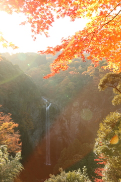 秋煌めく中から
