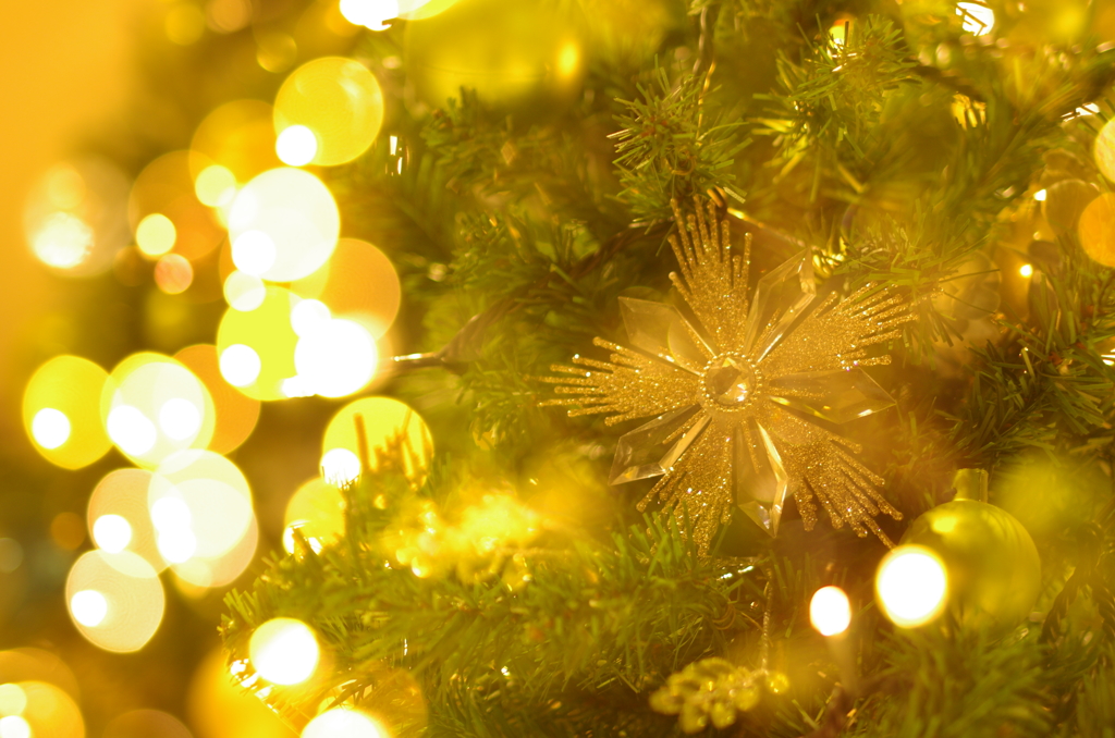 新宿イルミネーション④