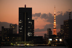 東京タワーと夕焼け