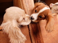 お隣さん♡はじめまして